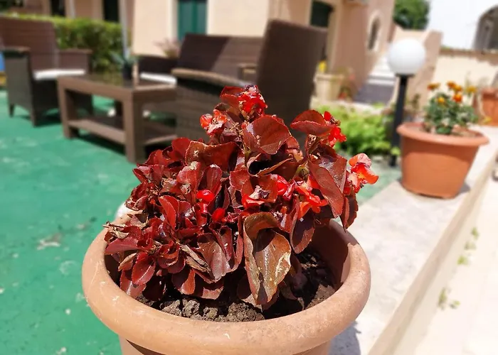 Hotel apartamentowy Zoi & Alexia 4*