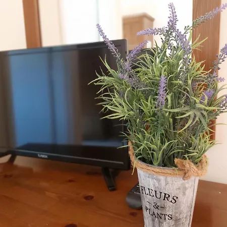 公寓式酒店 Zoi & Alexia 阿普索斯