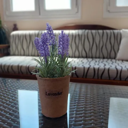 Zoi & Alexia 4* Ipsos